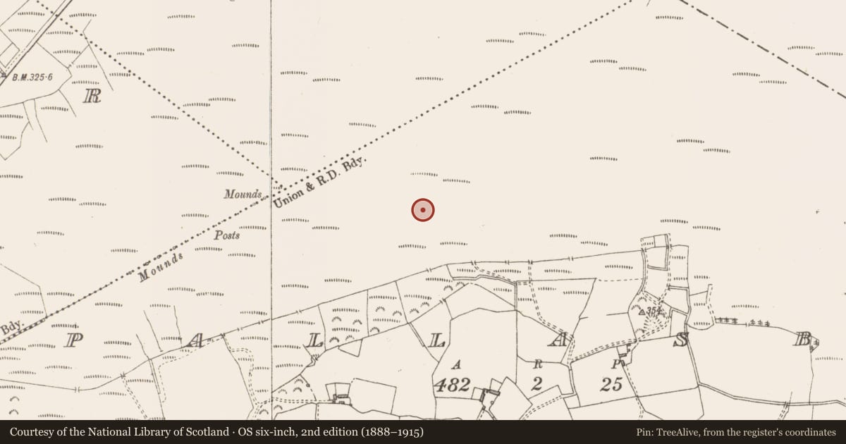 Ordnance Survey six-inch map, 2nd edition (1888–1915) covering the location of Structure - peatland, Pallasboy, County Westmeath, with a pin at the register's coordinates