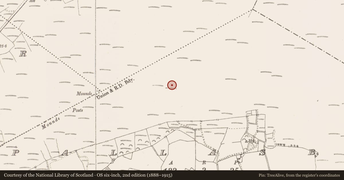 Ordnance Survey six-inch map, 2nd edition (1888–1915) covering the location of Structure - peatland, Pallasboy, County Westmeath, with a pin at the register's coordinates