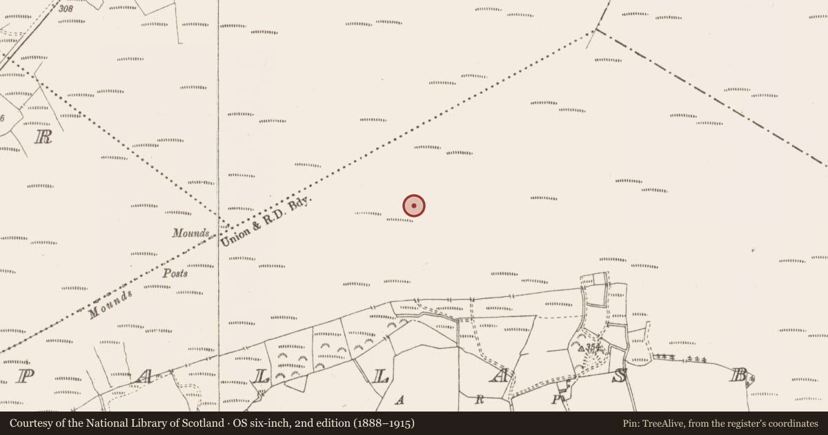 Ordnance Survey six-inch map, 2nd edition (1888–1915) covering the location of Road - class 3 togher, Pallasboy, County Westmeath, with a pin at the register's coordinates