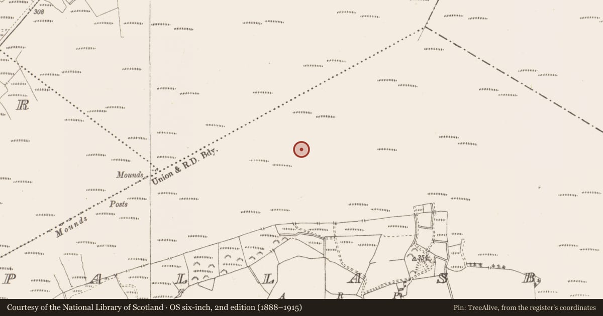 Ordnance Survey six-inch map, 2nd edition (1888–1915) covering the location of Structure - peatland, Pallasboy, County Westmeath, with a pin at the register's coordinates