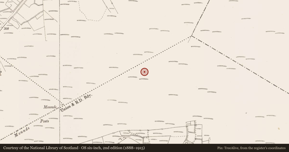 Ordnance Survey six-inch map, 2nd edition (1888–1915) covering the location of Structure - peatland, Pallasboy, County Westmeath, with a pin at the register's coordinates
