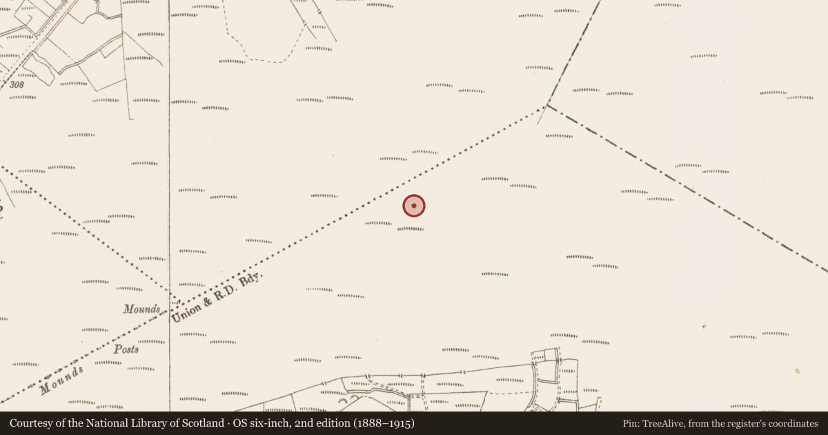 Ordnance Survey six-inch map, 2nd edition (1888–1915) covering the location of Structure - peatland, Pallasboy, County Westmeath, with a pin at the register's coordinates
