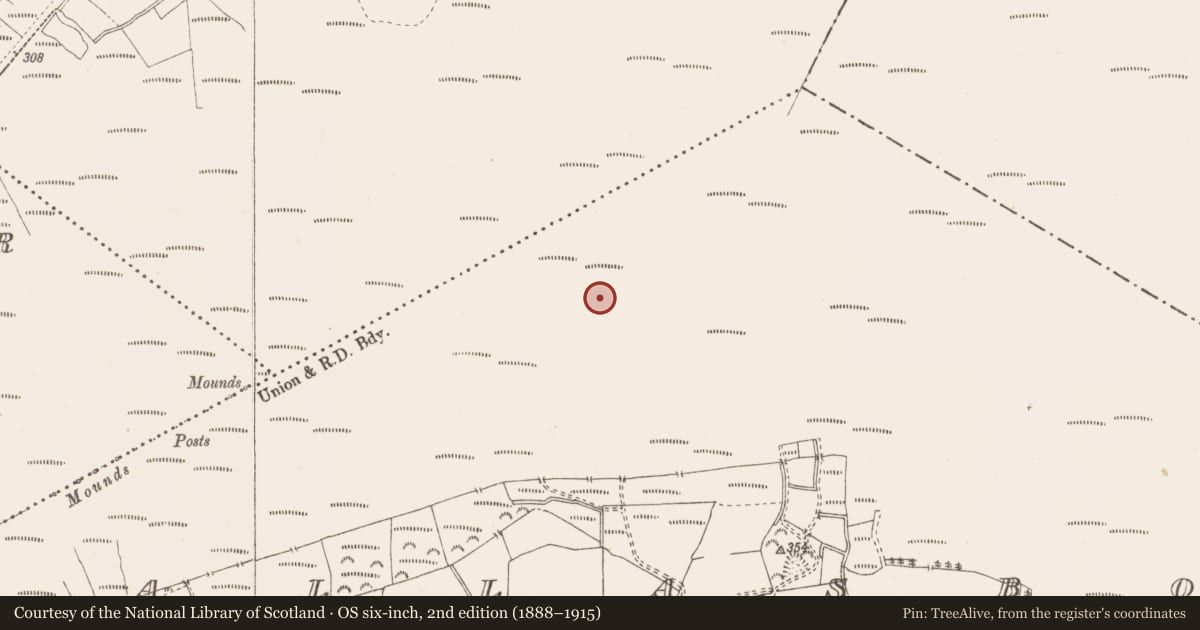 Ordnance Survey six-inch map, 2nd edition (1888–1915) covering the location of Structure - peatland, Pallasboy, County Westmeath, with a pin at the register's coordinates