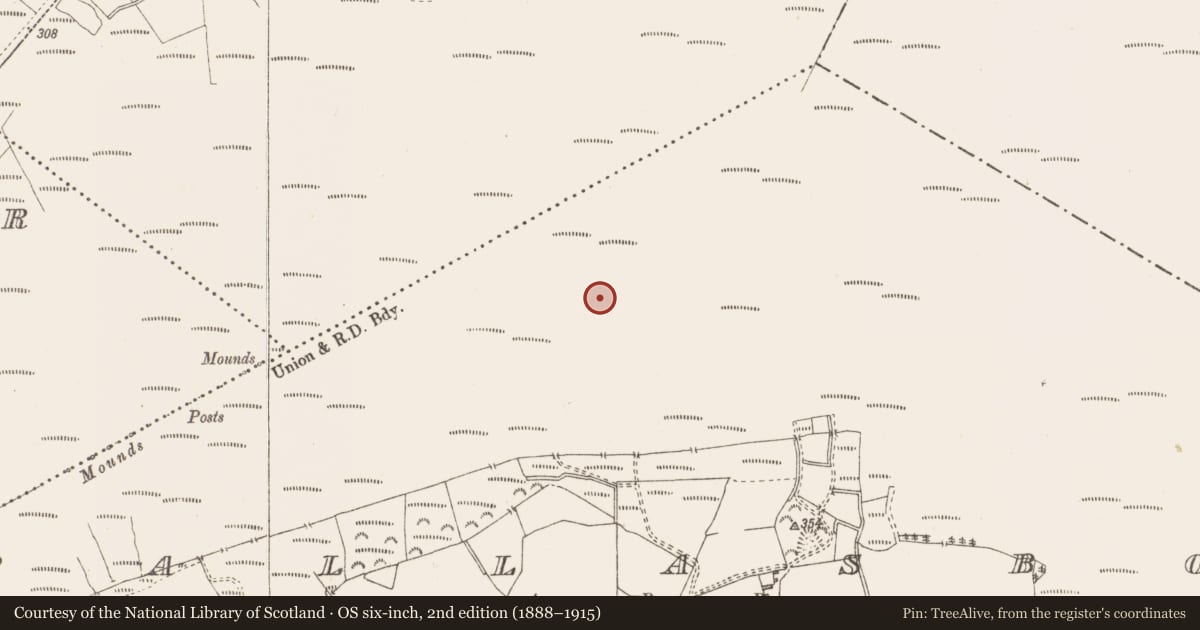 Ordnance Survey six-inch map, 2nd edition (1888–1915) covering the location of Structure - peatland, Pallasboy, County Westmeath, with a pin at the register's coordinates