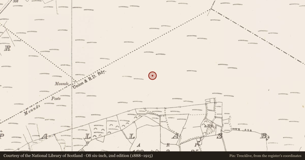 Ordnance Survey six-inch map, 2nd edition (1888–1915) covering the location of Structure - peatland, Pallasboy, County Westmeath, with a pin at the register's coordinates