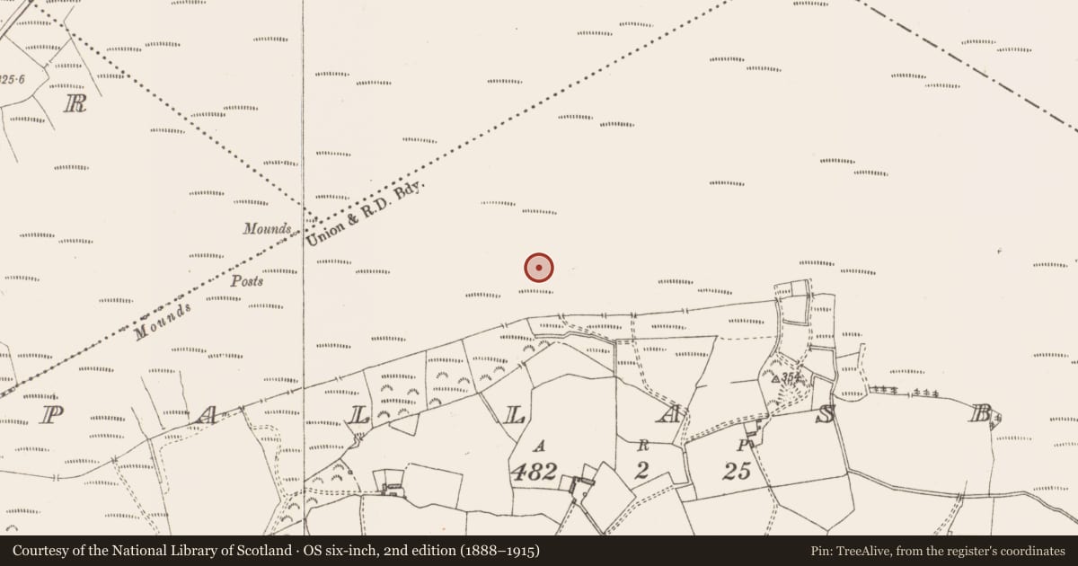 Ordnance Survey six-inch map, 2nd edition (1888–1915) covering the location of Road - class 3 togher, Pallasboy, County Westmeath, with a pin at the register's coordinates