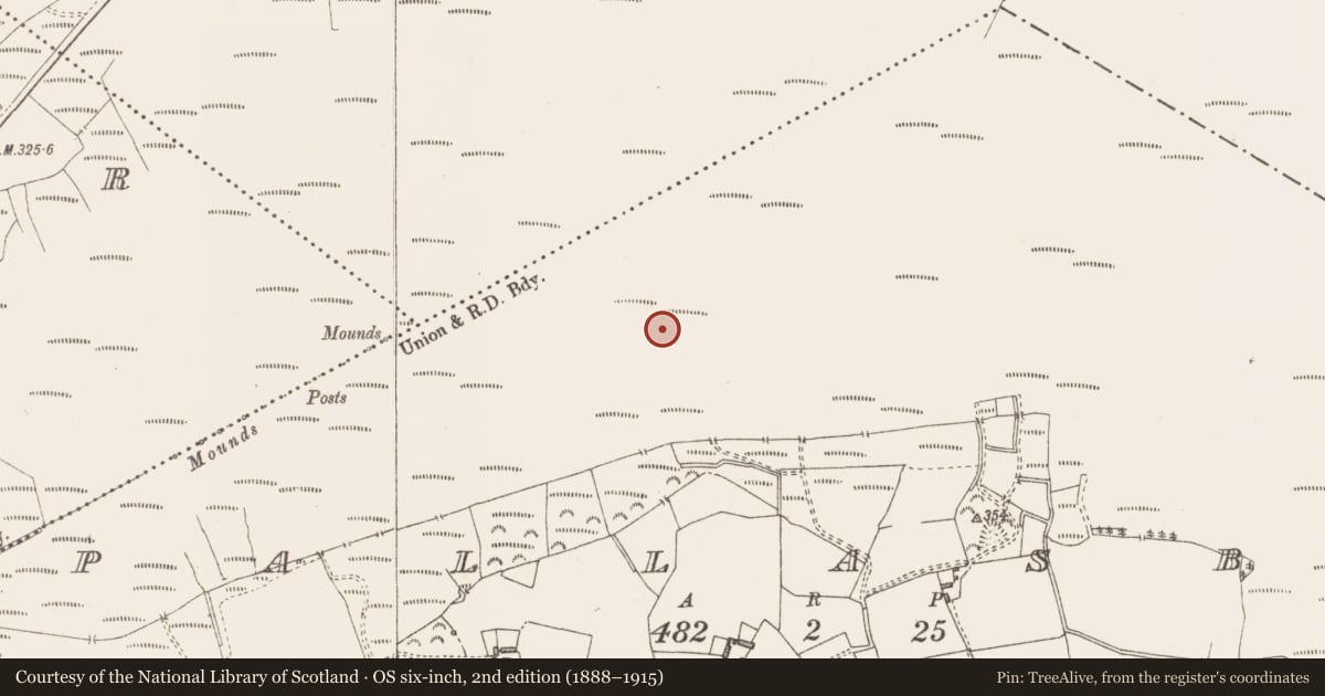 Ordnance Survey six-inch map, 2nd edition (1888–1915) covering the location of Road - class 3 togher, Pallasboy, County Westmeath, with a pin at the register's coordinates