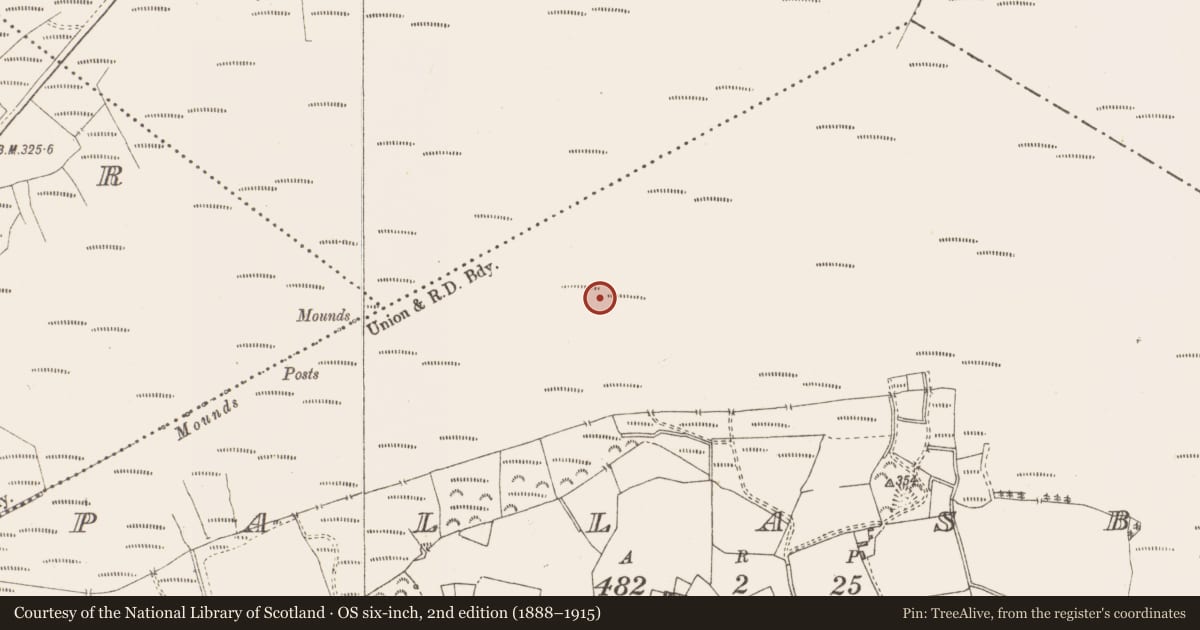 Ordnance Survey six-inch map, 2nd edition (1888–1915) covering the location of Structure - peatland, Pallasboy, County Westmeath, with a pin at the register's coordinates