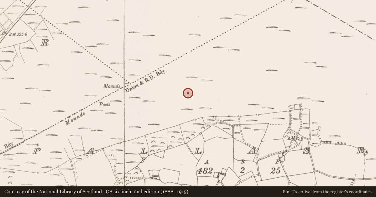 Ordnance Survey six-inch map, 2nd edition (1888–1915) covering the location of Structure - peatland, Pallasboy, County Westmeath, with a pin at the register's coordinates