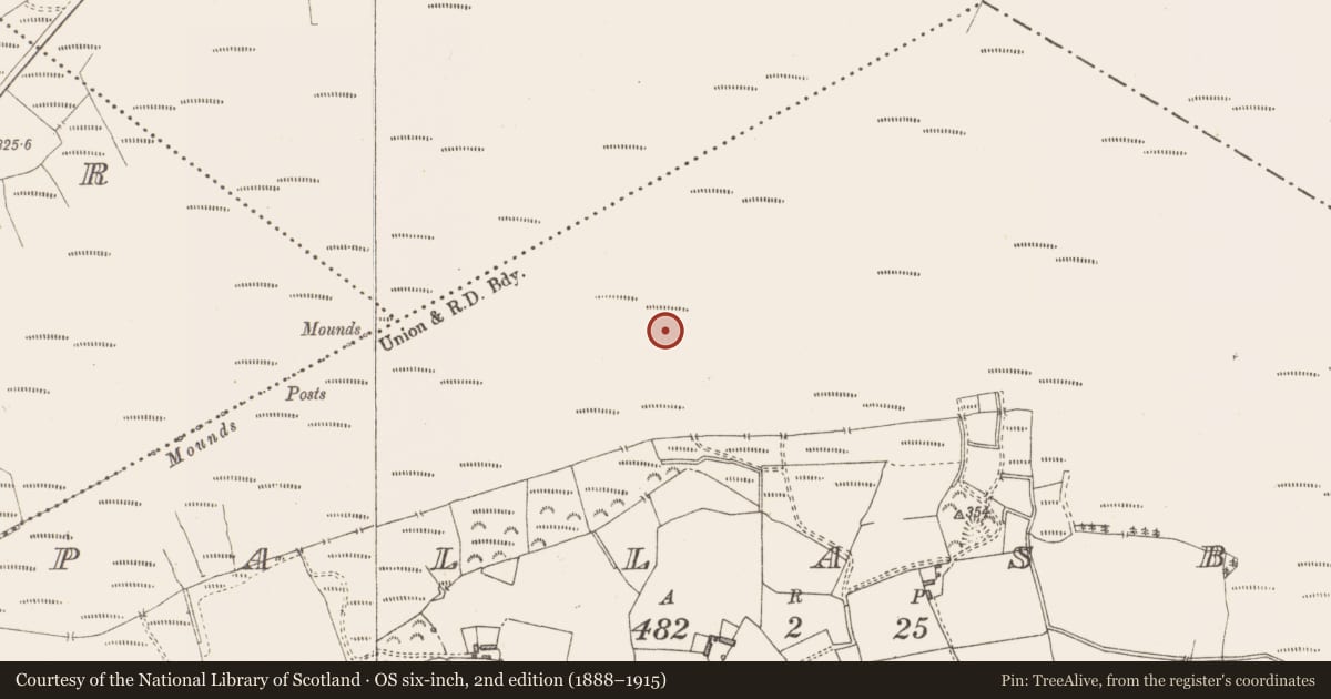 Ordnance Survey six-inch map, 2nd edition (1888–1915) covering the location of Structure - peatland, Pallasboy, County Westmeath, with a pin at the register's coordinates
