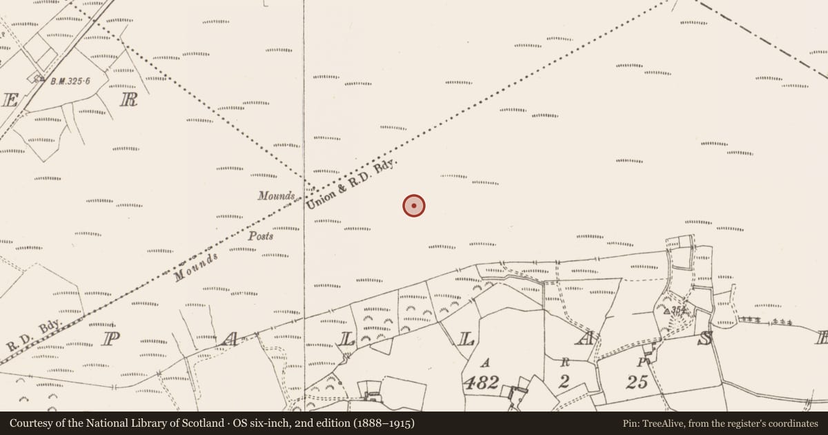 Ordnance Survey six-inch map, 2nd edition (1888–1915) covering the location of Structure - peatland, Pallasboy, County Westmeath, with a pin at the register's coordinates