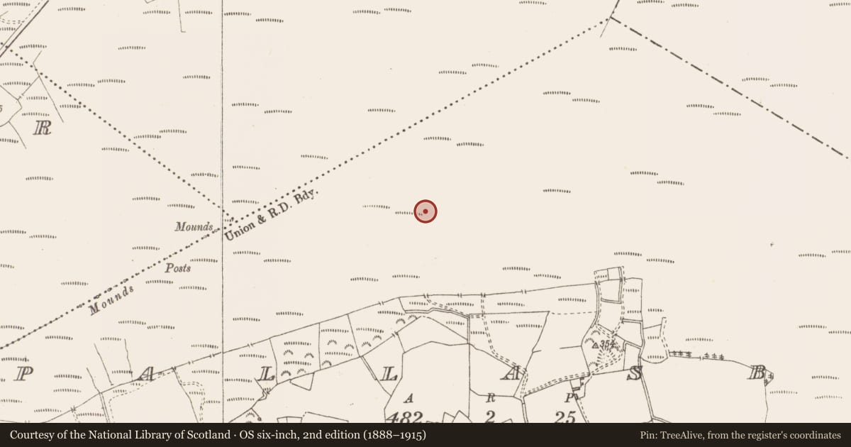 Ordnance Survey six-inch map, 2nd edition (1888–1915) covering the location of Structure - peatland, Pallasboy, County Westmeath, with a pin at the register's coordinates