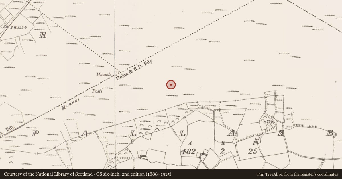Ordnance Survey six-inch map, 2nd edition (1888–1915) covering the location of Structure - peatland, Pallasboy, County Westmeath, with a pin at the register's coordinates