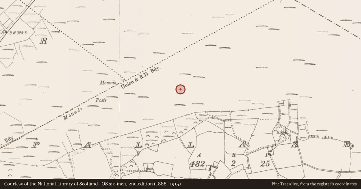 Ordnance Survey six-inch map, 2nd edition (1888–1915) covering the location of Structure - peatland, Pallasboy, County Westmeath, with a pin at the register's coordinates