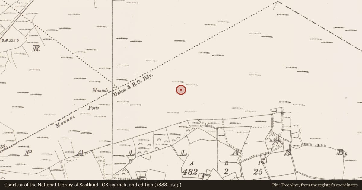 Ordnance Survey six-inch map, 2nd edition (1888–1915) covering the location of Road - class 3 togher, Pallasboy, County Westmeath, with a pin at the register's coordinates
