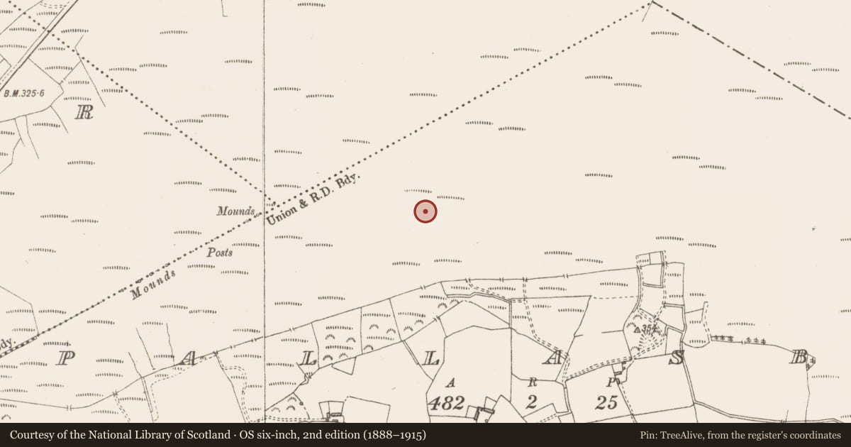 Ordnance Survey six-inch map, 2nd edition (1888–1915) covering the location of Road - class 3 togher, Pallasboy, County Westmeath, with a pin at the register's coordinates