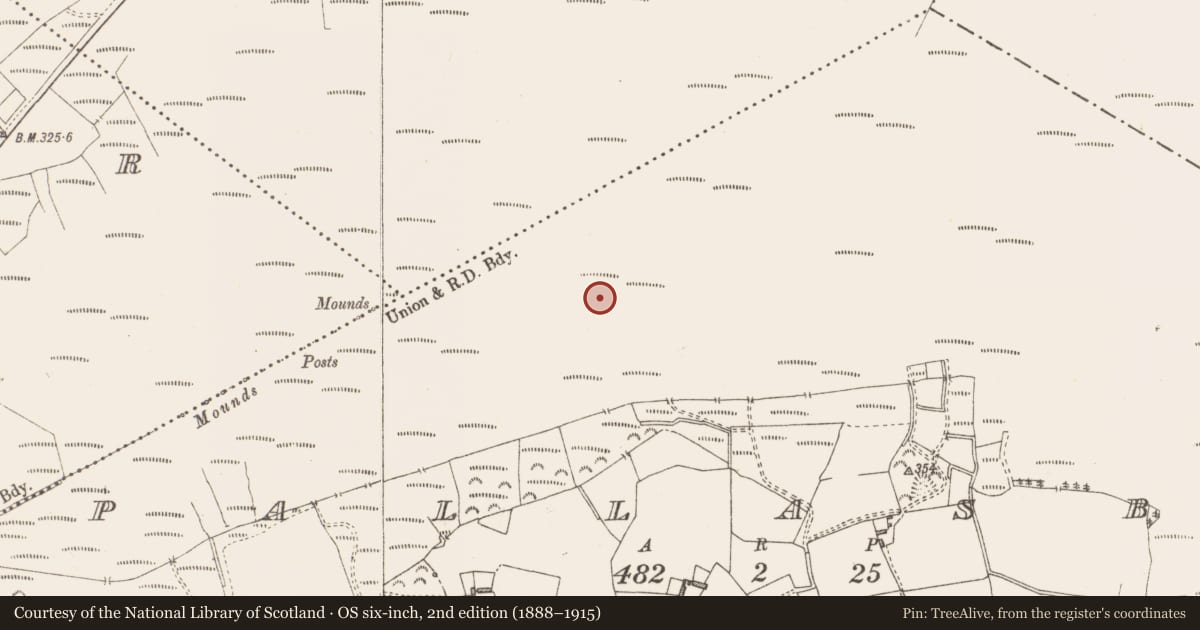 Ordnance Survey six-inch map, 2nd edition (1888–1915) covering the location of Road - class 3 togher, Pallasboy, County Westmeath, with a pin at the register's coordinates
