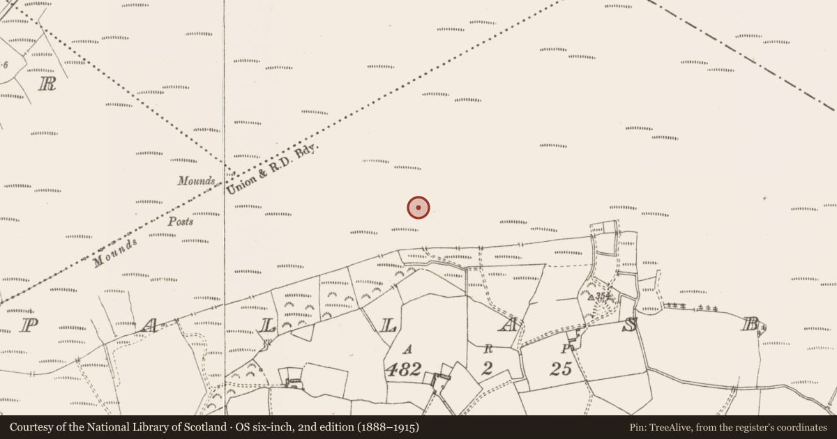 Ordnance Survey six-inch map, 2nd edition (1888–1915) covering the location of Road - class 3 togher, Pallasboy, County Westmeath, with a pin at the register's coordinates