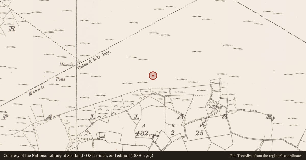 Ordnance Survey six-inch map, 2nd edition (1888–1915) covering the location of Structure - peatland, Pallasboy, County Westmeath, with a pin at the register's coordinates