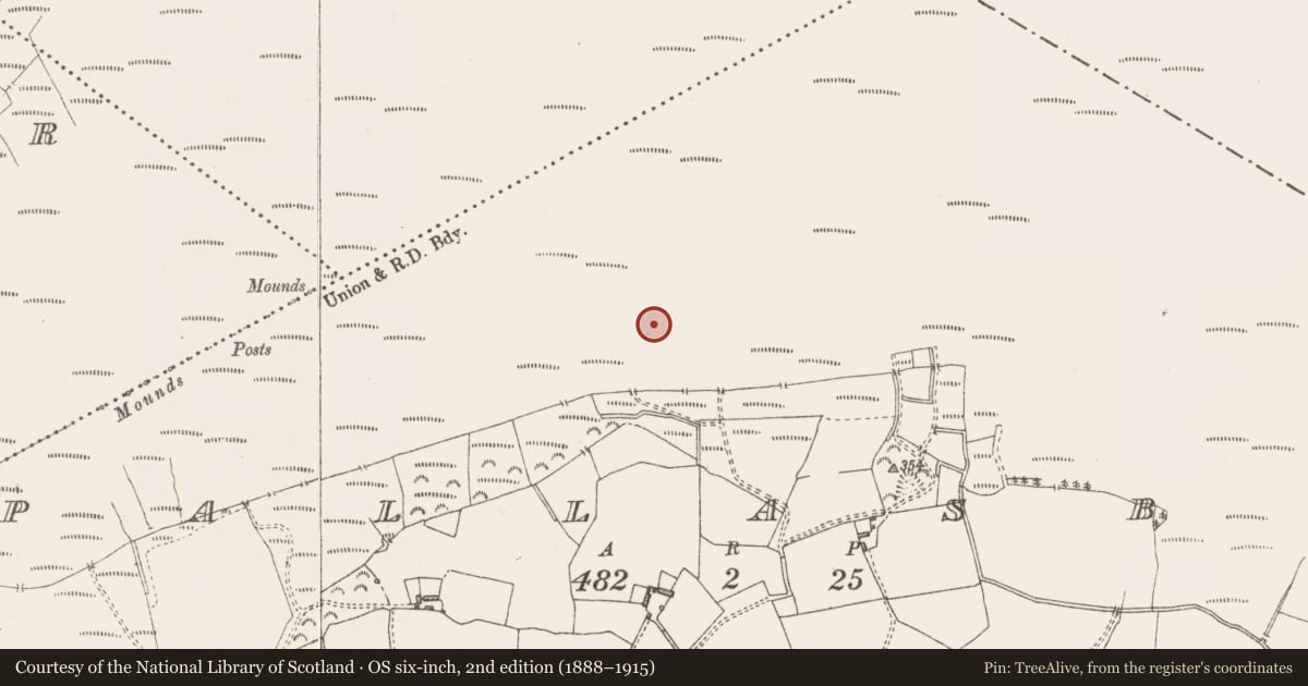 Ordnance Survey six-inch map, 2nd edition (1888–1915) covering the location of Road - class 3 togher, Pallasboy, County Westmeath, with a pin at the register's coordinates