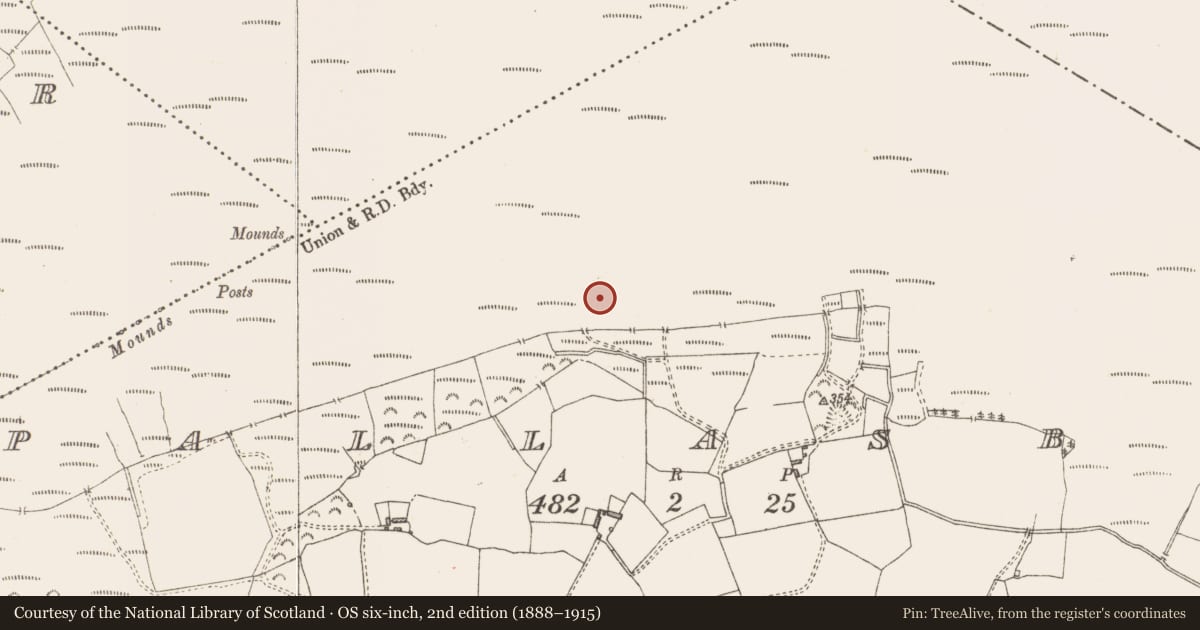 Ordnance Survey six-inch map, 2nd edition (1888–1915) covering the location of Structure - peatland, Pallasboy, County Westmeath, with a pin at the register's coordinates