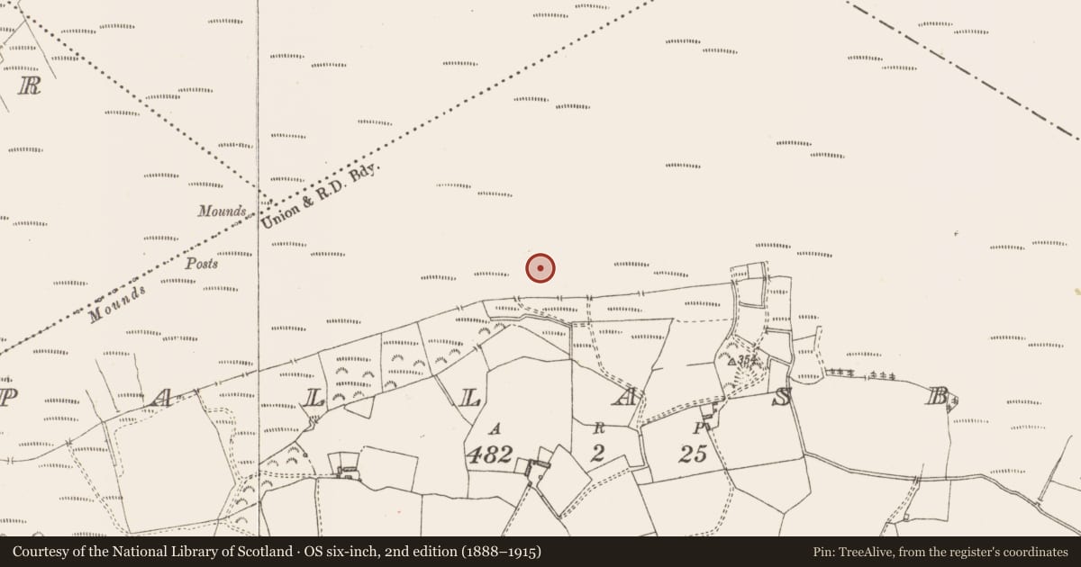 Ordnance Survey six-inch map, 2nd edition (1888–1915) covering the location of Structure - peatland, Pallasboy, County Westmeath, with a pin at the register's coordinates