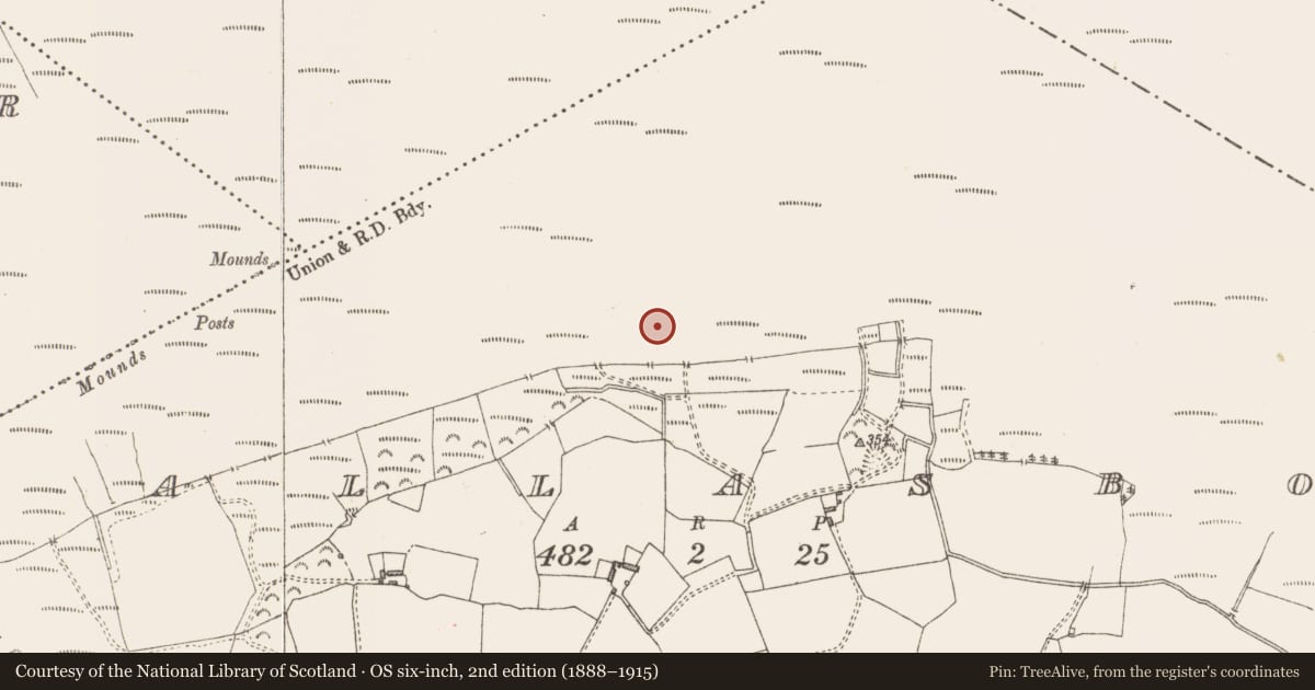 Ordnance Survey six-inch map, 2nd edition (1888–1915) covering the location of Road - class 3 togher, Pallasboy, County Westmeath, with a pin at the register's coordinates
