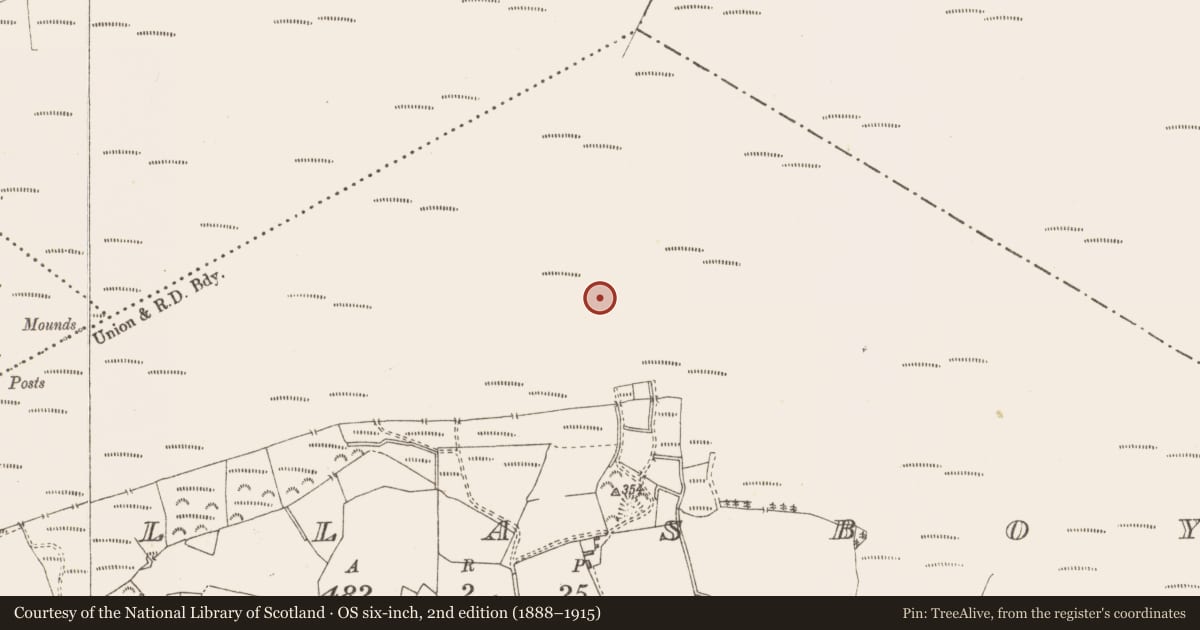 Ordnance Survey six-inch map, 2nd edition (1888–1915) covering the location of Structure - peatland, Pallasboy, County Westmeath, with a pin at the register's coordinates