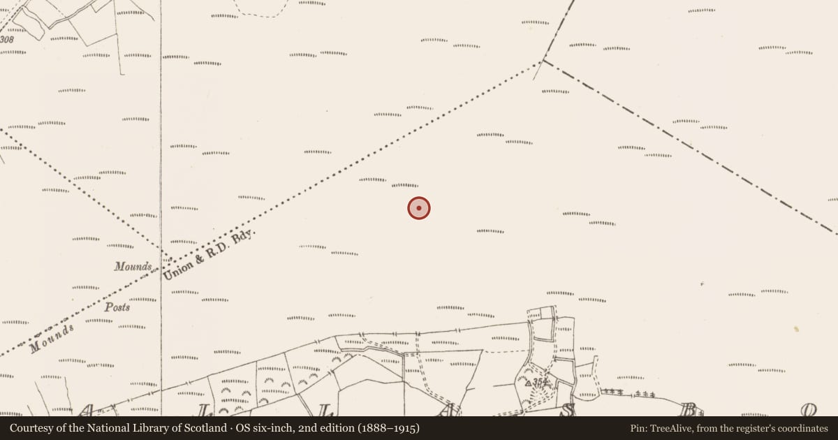 Ordnance Survey six-inch map, 2nd edition (1888–1915) covering the location of Structure - peatland, Pallasboy, County Westmeath, with a pin at the register's coordinates