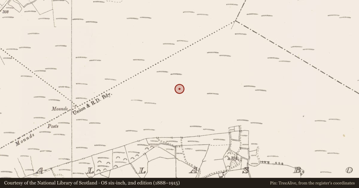 Ordnance Survey six-inch map, 2nd edition (1888–1915) covering the location of Road - class 3 togher, Pallasboy, County Westmeath, with a pin at the register's coordinates