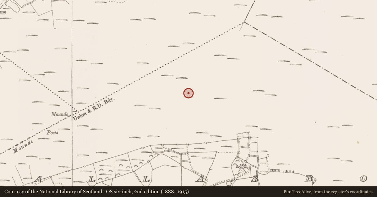 Ordnance Survey six-inch map, 2nd edition (1888–1915) covering the location of Structure - peatland, Pallasboy, County Westmeath, with a pin at the register's coordinates