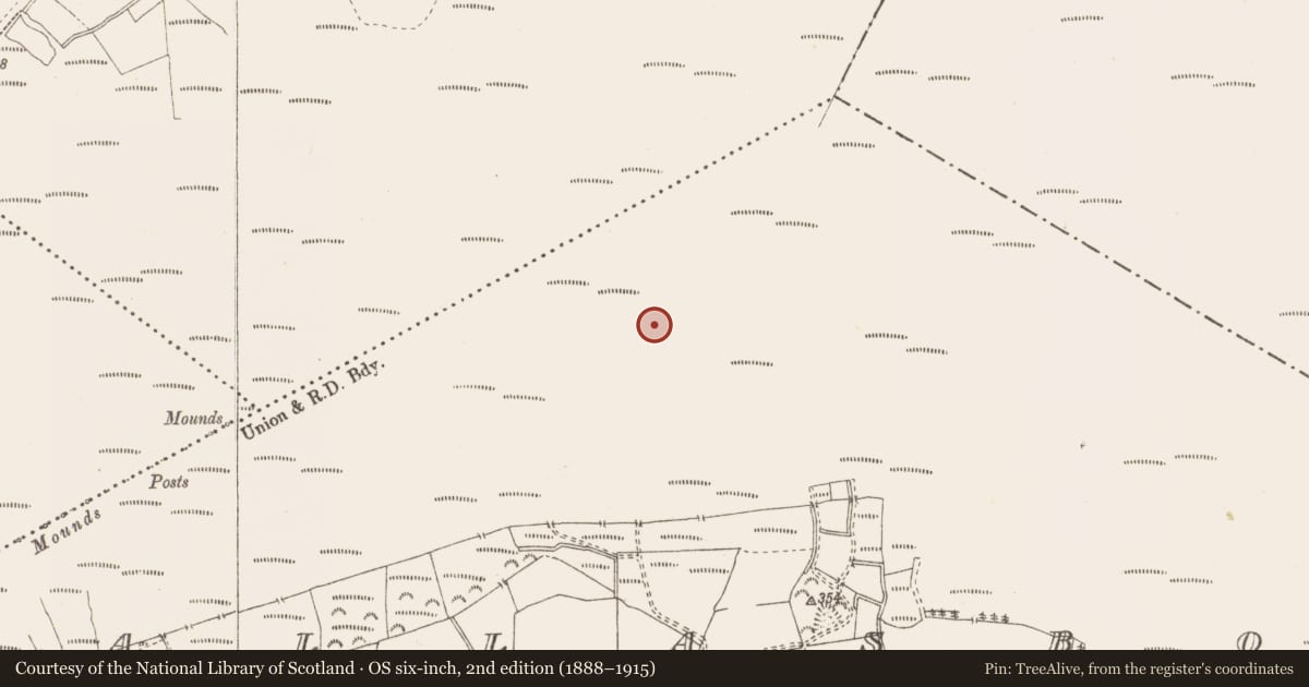 Ordnance Survey six-inch map, 2nd edition (1888–1915) covering the location of Structure - peatland, Pallasboy, County Westmeath, with a pin at the register's coordinates