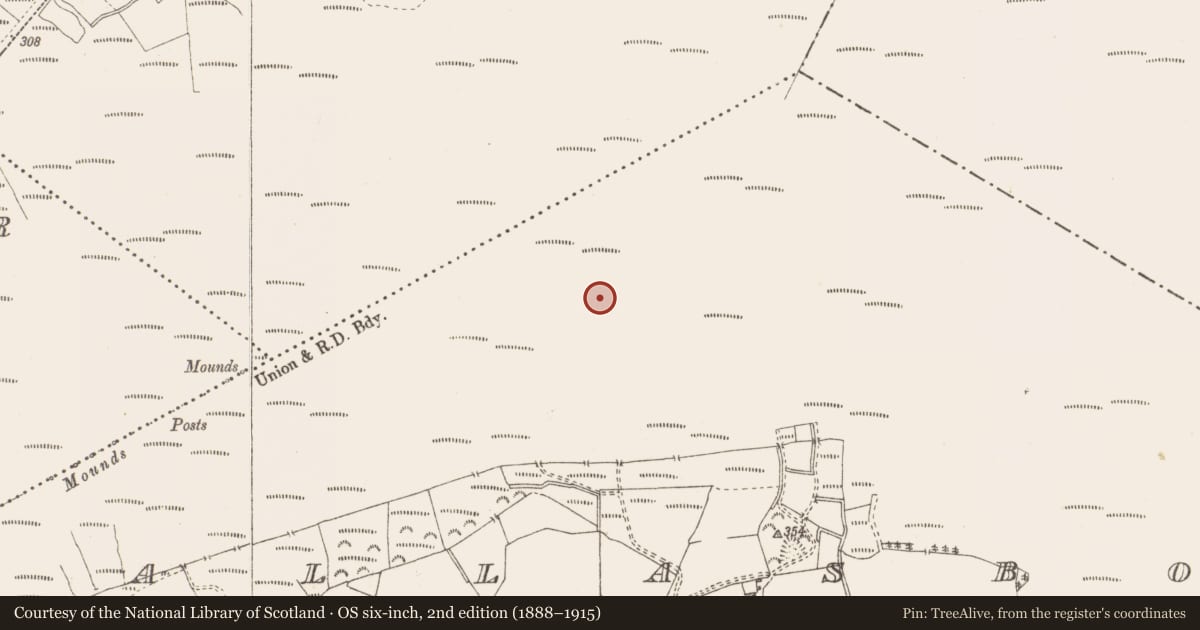 Ordnance Survey six-inch map, 2nd edition (1888–1915) covering the location of Structure - peatland, Pallasboy, County Westmeath, with a pin at the register's coordinates