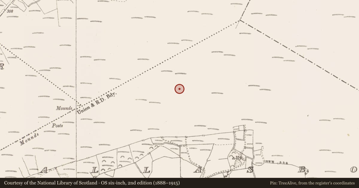 Ordnance Survey six-inch map, 2nd edition (1888–1915) covering the location of Structure - peatland, Pallasboy, County Westmeath, with a pin at the register's coordinates