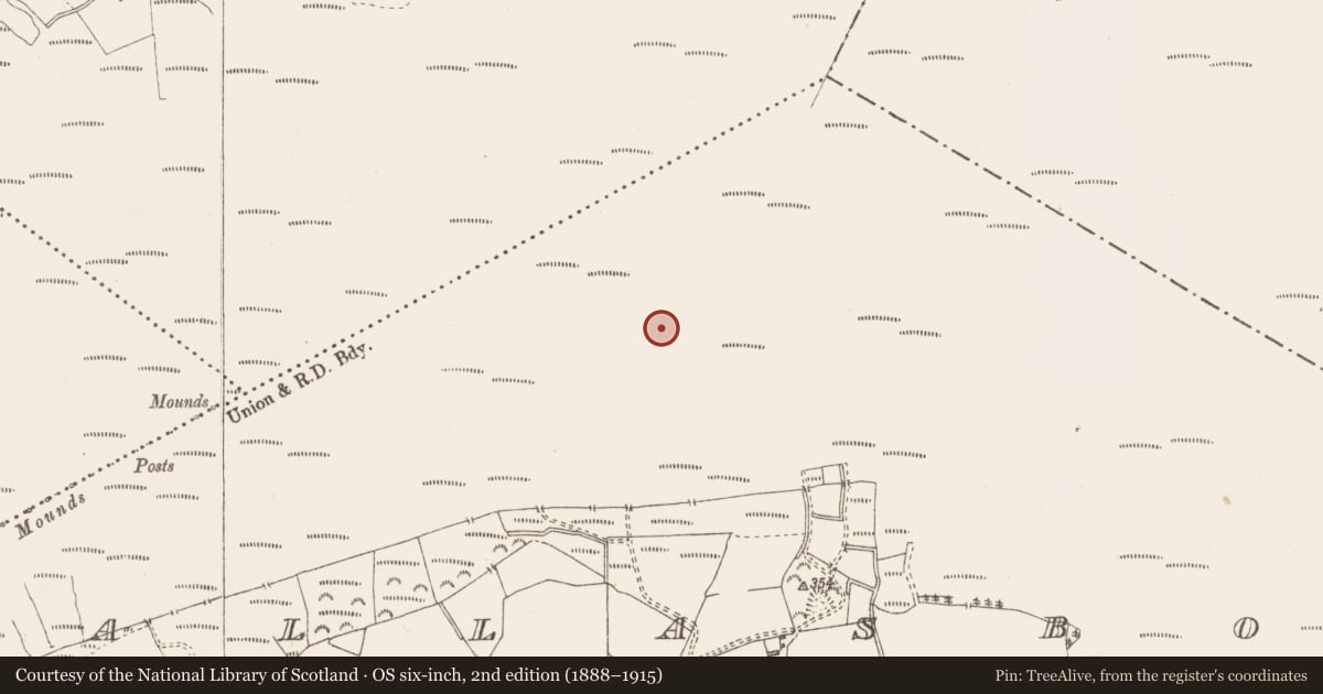 Ordnance Survey six-inch map, 2nd edition (1888–1915) covering the location of Road - class 3 togher, Pallasboy, County Westmeath, with a pin at the register's coordinates