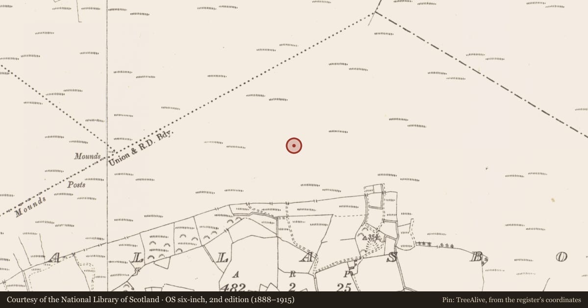 Ordnance Survey six-inch map, 2nd edition (1888–1915) covering the location of Structure - peatland, Pallasboy, County Westmeath, with a pin at the register's coordinates