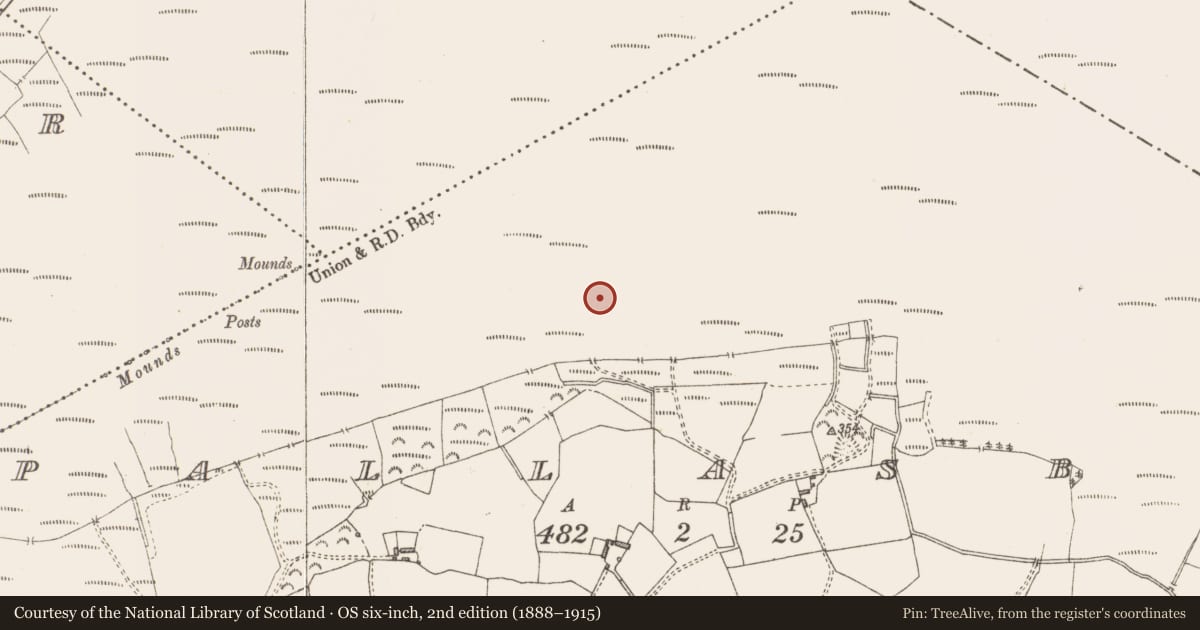 Ordnance Survey six-inch map, 2nd edition (1888–1915) covering the location of Structure - peatland, Pallasboy, County Westmeath, with a pin at the register's coordinates