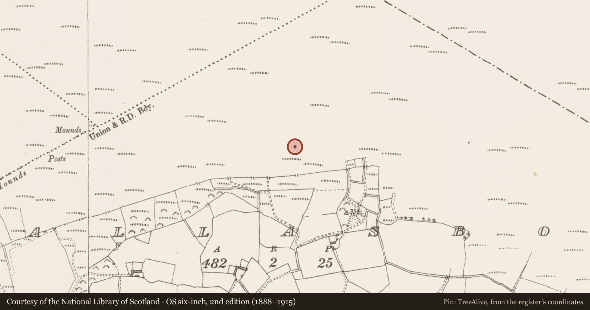 Ordnance Survey six-inch map, 2nd edition (1888–1915) covering the location of Road - class 2 togher, Pallasboy, County Westmeath, with a pin at the register's coordinates