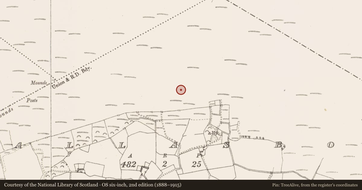 Ordnance Survey six-inch map, 2nd edition (1888–1915) covering the location of Structure - peatland, Pallasboy, County Westmeath, with a pin at the register's coordinates