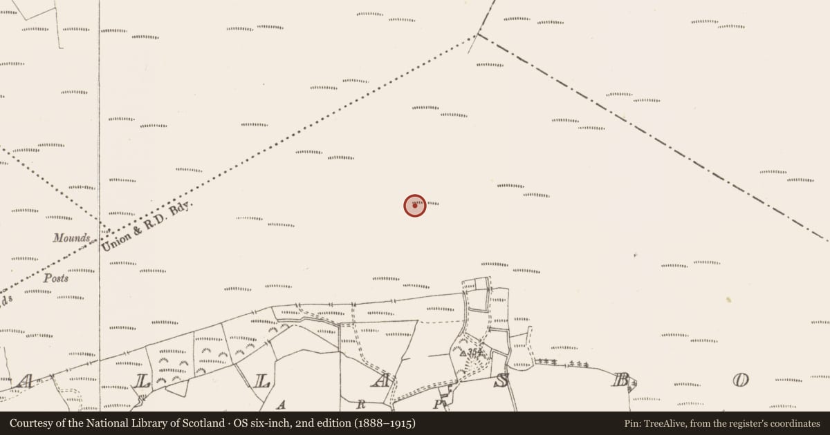 Ordnance Survey six-inch map, 2nd edition (1888–1915) covering the location of Structure - peatland, Pallasboy, County Westmeath, with a pin at the register's coordinates