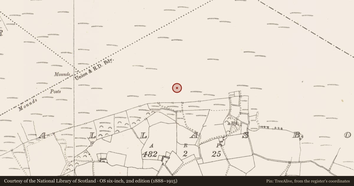 Ordnance Survey six-inch map, 2nd edition (1888–1915) covering the location of Road - class 3 togher, Pallasboy, County Westmeath, with a pin at the register's coordinates