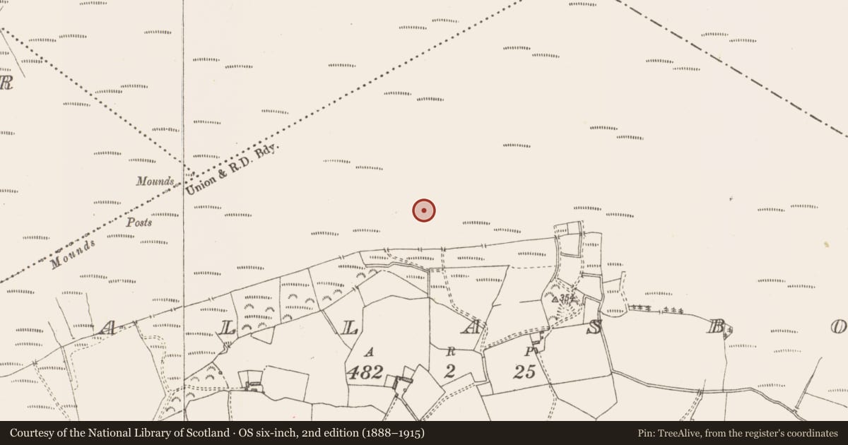 Ordnance Survey six-inch map, 2nd edition (1888–1915) covering the location of Road - class 3 togher, Pallasboy, County Westmeath, with a pin at the register's coordinates