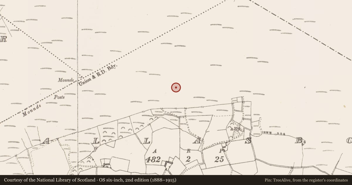 Ordnance Survey six-inch map, 2nd edition (1888–1915) covering the location of Structure - peatland, Pallasboy, County Westmeath, with a pin at the register's coordinates