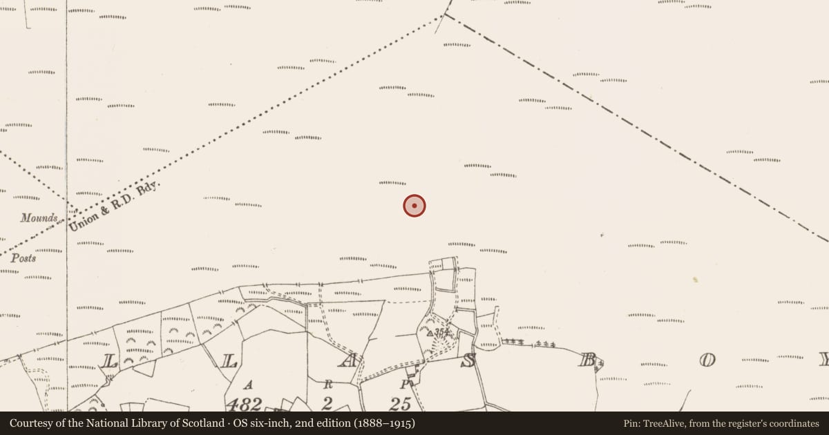 Ordnance Survey six-inch map, 2nd edition (1888–1915) covering the location of Structure - peatland, Pallasboy, County Westmeath, with a pin at the register's coordinates