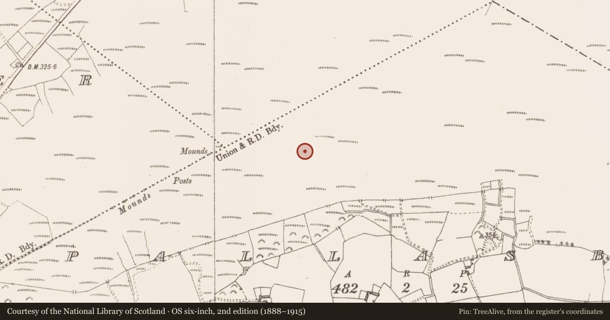 Ordnance Survey six-inch map, 2nd edition (1888–1915) covering the location of Structure - peatland, Pallasboy, County Westmeath, with a pin at the register's coordinates