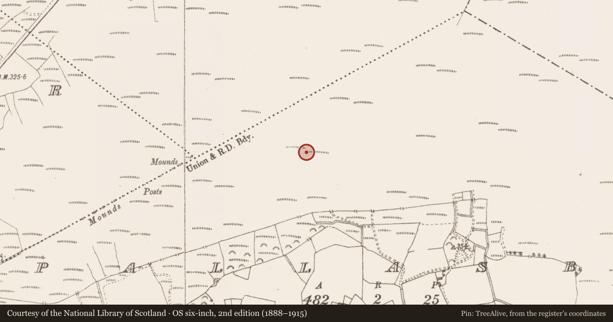 Ordnance Survey six-inch map, 2nd edition (1888–1915) covering the location of Structure - peatland, Pallasboy, County Westmeath, with a pin at the register's coordinates