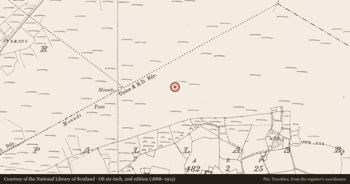 Ordnance Survey six-inch map, 2nd edition (1888–1915) covering the location of Road - class 3 togher, Pallasboy, County Westmeath, with a pin at the register's coordinates