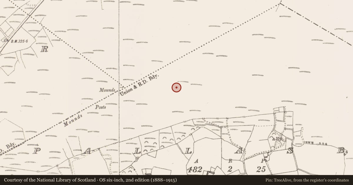 Ordnance Survey six-inch map, 2nd edition (1888–1915) covering the location of Structure - peatland, Pallasboy, County Westmeath, with a pin at the register's coordinates