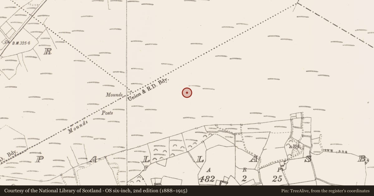 Ordnance Survey six-inch map, 2nd edition (1888–1915) covering the location of Structure - peatland, Pallasboy, County Westmeath, with a pin at the register's coordinates