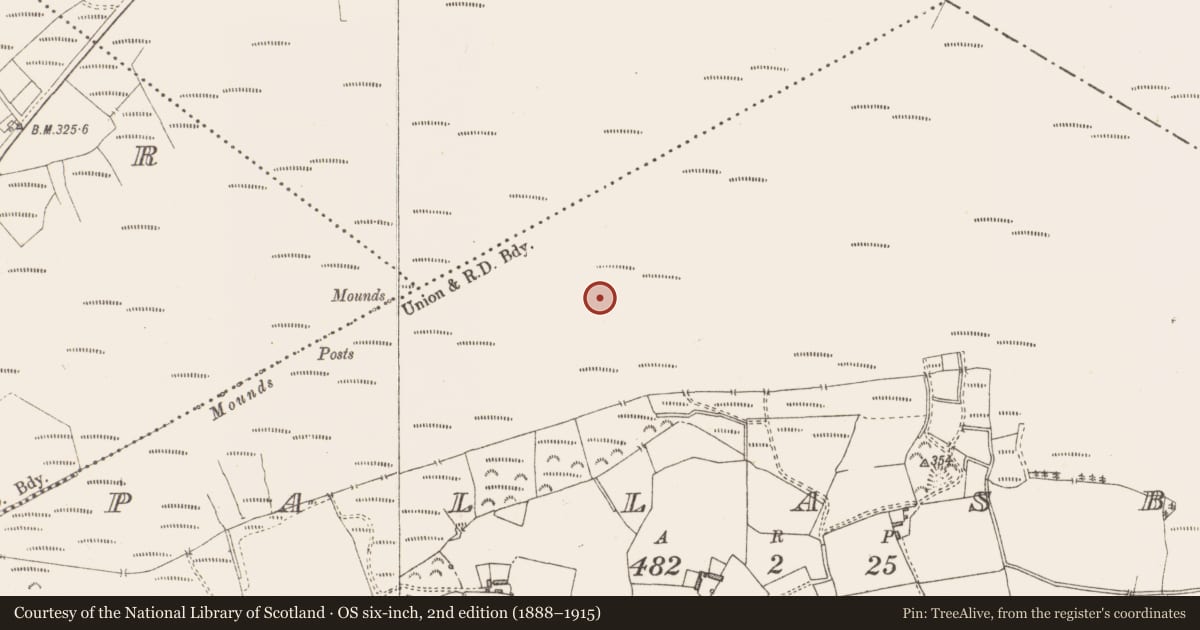 Ordnance Survey six-inch map, 2nd edition (1888–1915) covering the location of Structure - peatland, Pallasboy, County Westmeath, with a pin at the register's coordinates